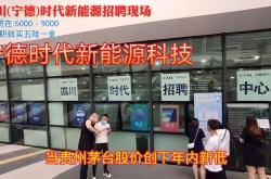 宜宾新能源招聘网站