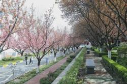 西安翻译学院有多少学生2024