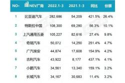 新能源汽车销量榜