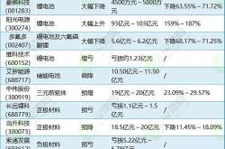 新疆新能源(集团)有限责任公司