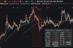 南京化纤股价波动背后的市场预测与监管挑战