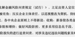 严控增量中央企业新设与参股金融机构的审慎之道