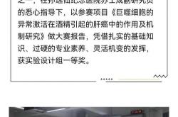 揭秘中山二院“无在读学生患癌”声明真相与概念的边界