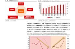 崛起中的行业洞察与展望