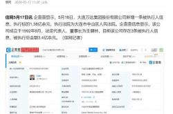 大连万达集团被执行事件深度解析挑战与未来展望