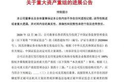 退市园城涉嫌信披违规被立案，董事长涉嫌内幕交易，投资索赔预登记
