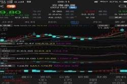 新集能源股票是做什么的