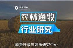 农林牧渔板块震荡下行正虹科技跌停背后的行业挑战与机遇