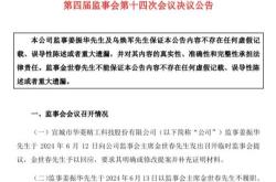 华菱精工首席财务官贺德勇辞职行业影响与未来展望