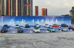 国产新能源车品牌