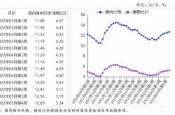 大越期货短期猪价预测