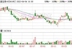 标普确认复星国际信用评级稳定展望下的多元化战略分析