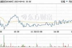 佳禾智能上市后目标价