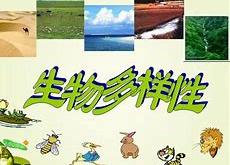 企业生物多样性信息披露内容同质化严重，可信度不足