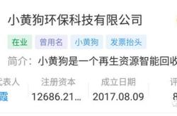 松炀资源高溢价收购实控人旗下营收公司背后的战略考量与市场反应