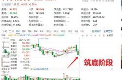 江苏国泰：年第二季度国泰转债转股股