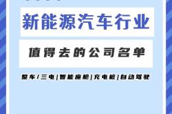 新能源车市场的领军企业