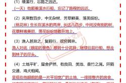 古文翻译：第