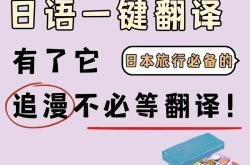 中文翻译：专业解答与建议