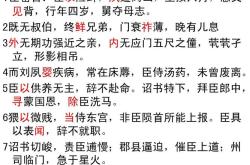 解析：诏书竟坐翻译