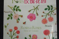 刺绣小花的日文翻译