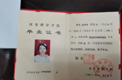 中专毕业翻译