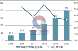 新能源汽车市占率龙头