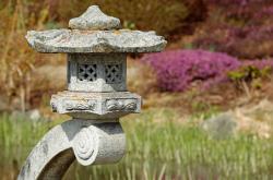 将眼镜蛇头塞入口中，一种古老神秘的文化传统与象征意义