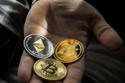 揭秘黄金行情今日老凤祥黄金价格深度解析，投资指南与市场洞察