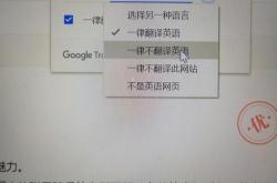 学习通电脑翻译软件