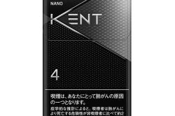 编程行业：Kent
