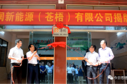 广东华润新能源公司综合评价