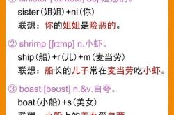 儿子用英文翻译