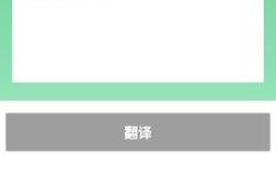 中英翻译软件速度分析与优化建议