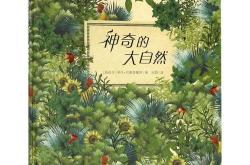 田娇韩语翻译