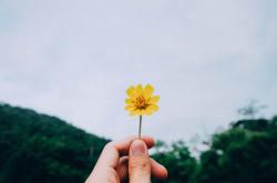 三年禁令背后的深意，为何我们不能在三年内送寒衣