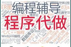 软件编程：一个充满挑战和机遇的领域