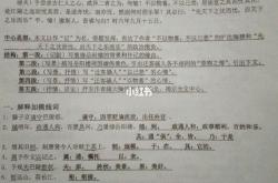 乃的解词翻译