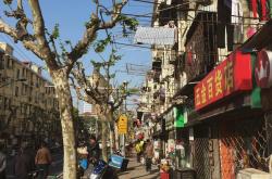 小果庄村，一个中国农村的变迁与振兴之路