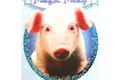 探索MagicPig编程世界