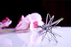 广东新增本土确诊，了解疫情动态，科学防护指南