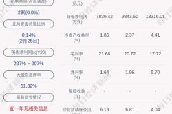 金晶科技股票分析与投资建议