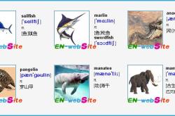 WildlifeTranslationinEnglish