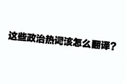 政治的y翻译