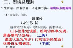 浣溪沙