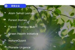 可持续森林翻译