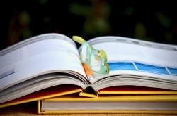 全球视角下的入境隔离政策，科学、人道与经济的三重挑战