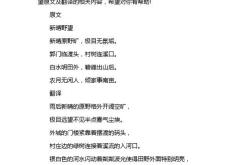 野望翻译全文