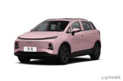 纯电新能源汽车