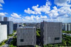 上海抗议，城市脉动中的呼声与变革